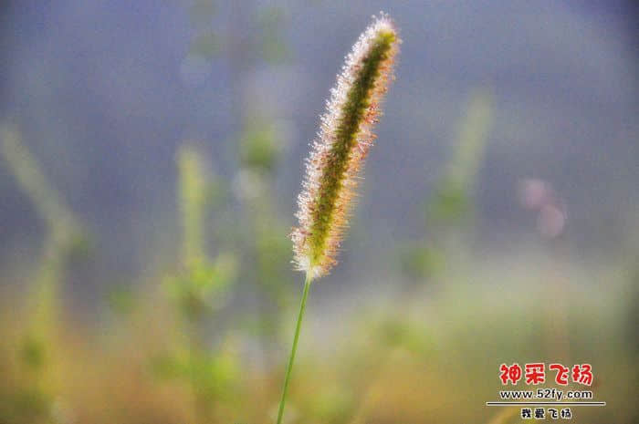 照片 506.jpg