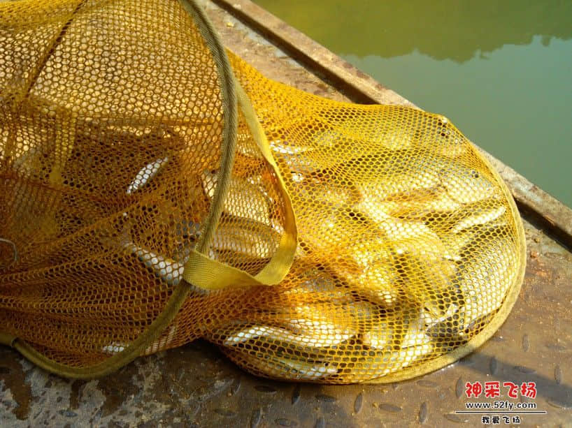 QQ截图20121006175318.jpg