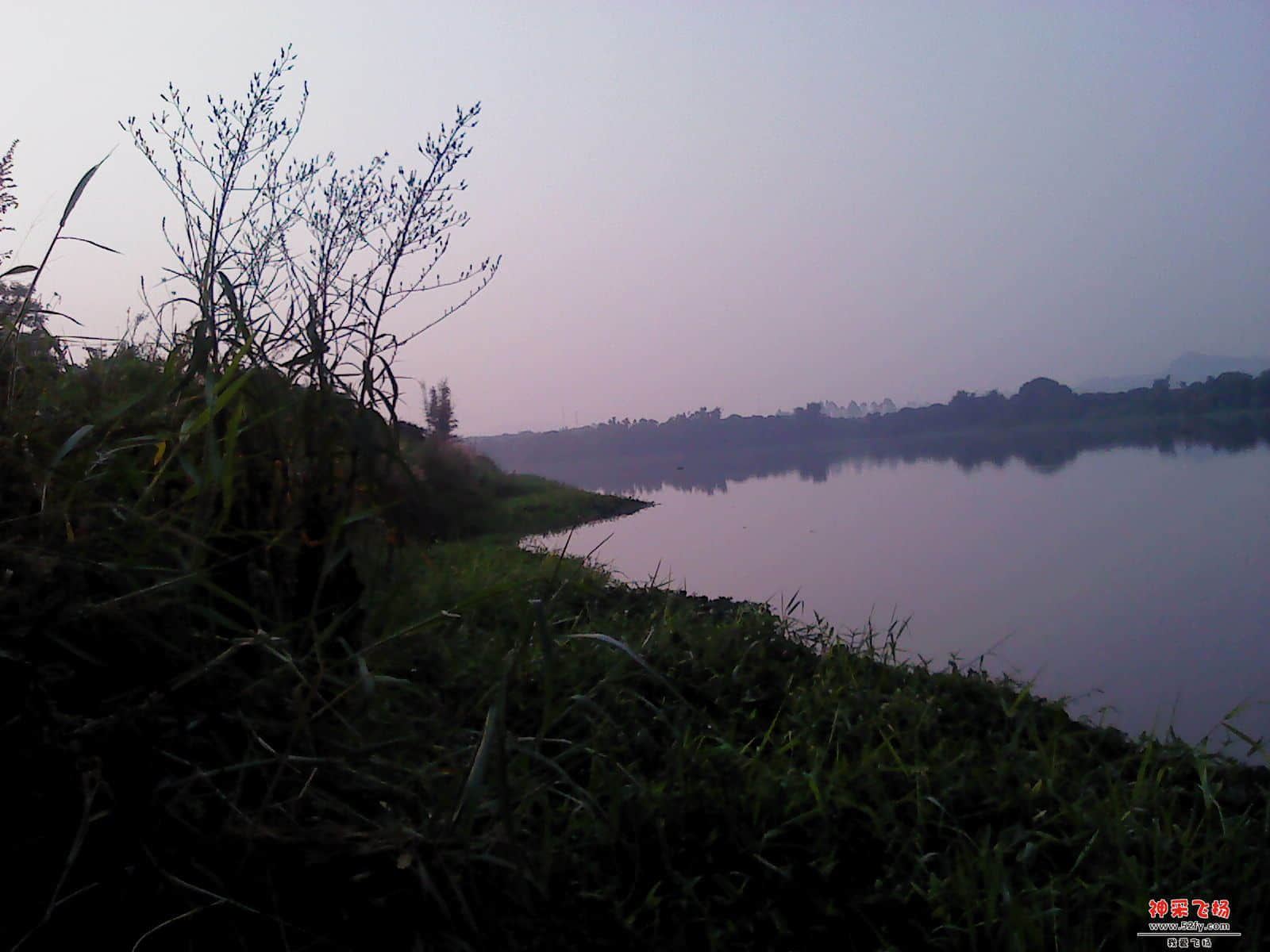 DSC01361.JPG