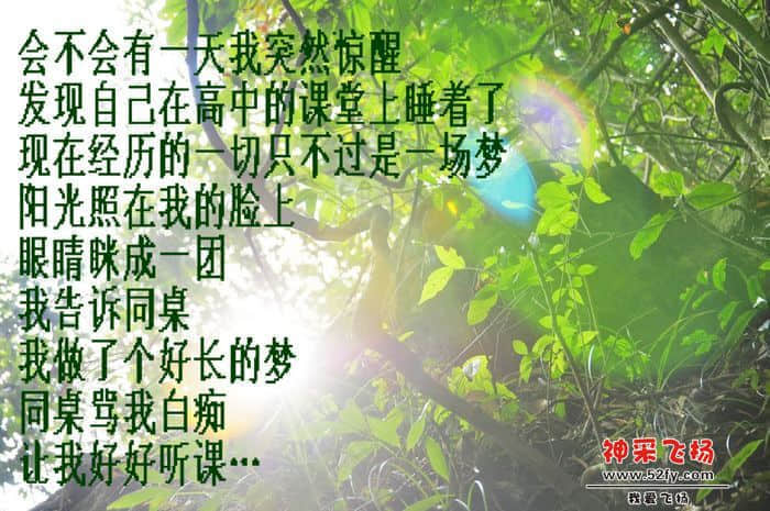 _DSC0408.jpg