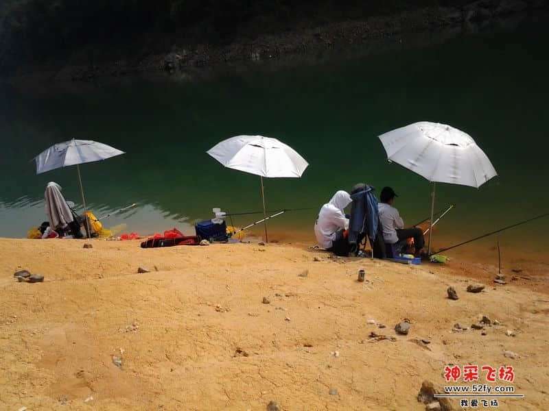 啊龙、啊明、敌敌畏的钓位！
