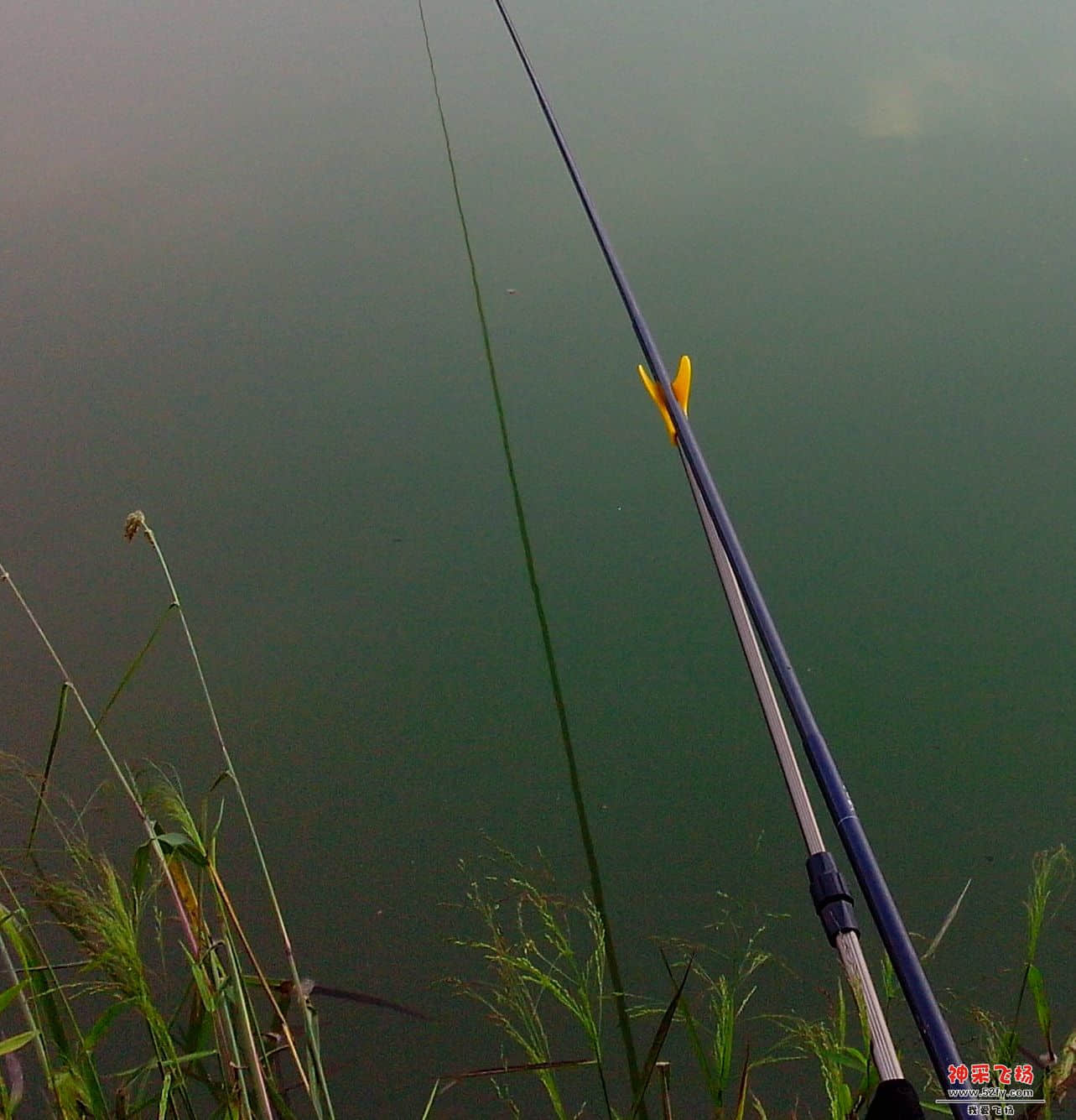 刚坐下有人网鱼