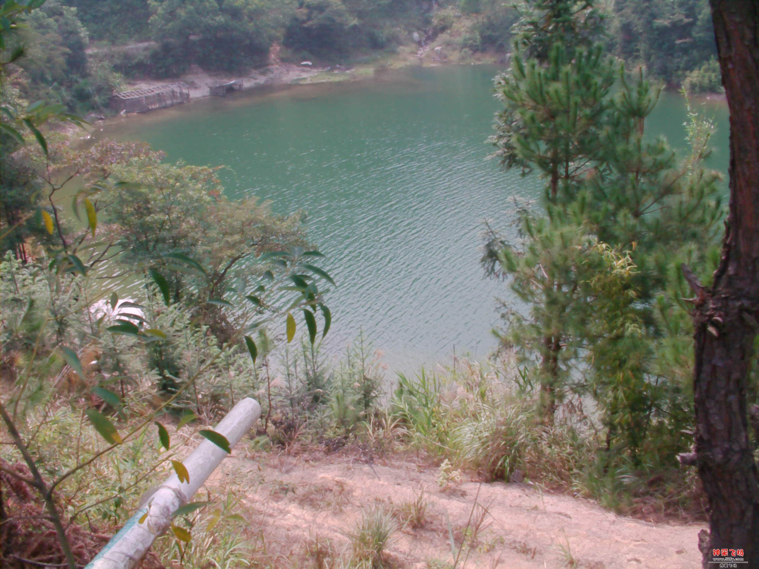 FILE0120.JPG