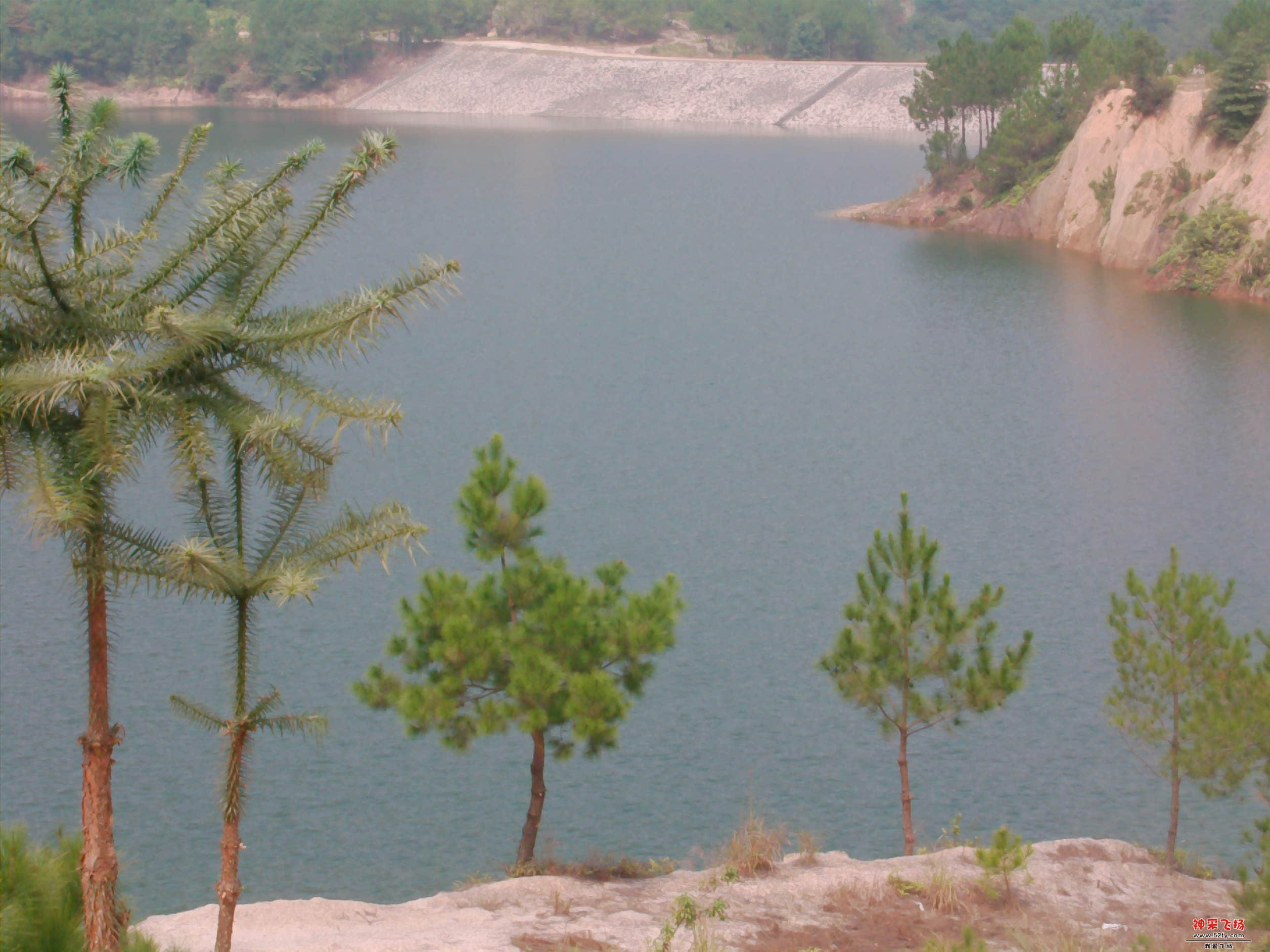 FILE0141.JPG