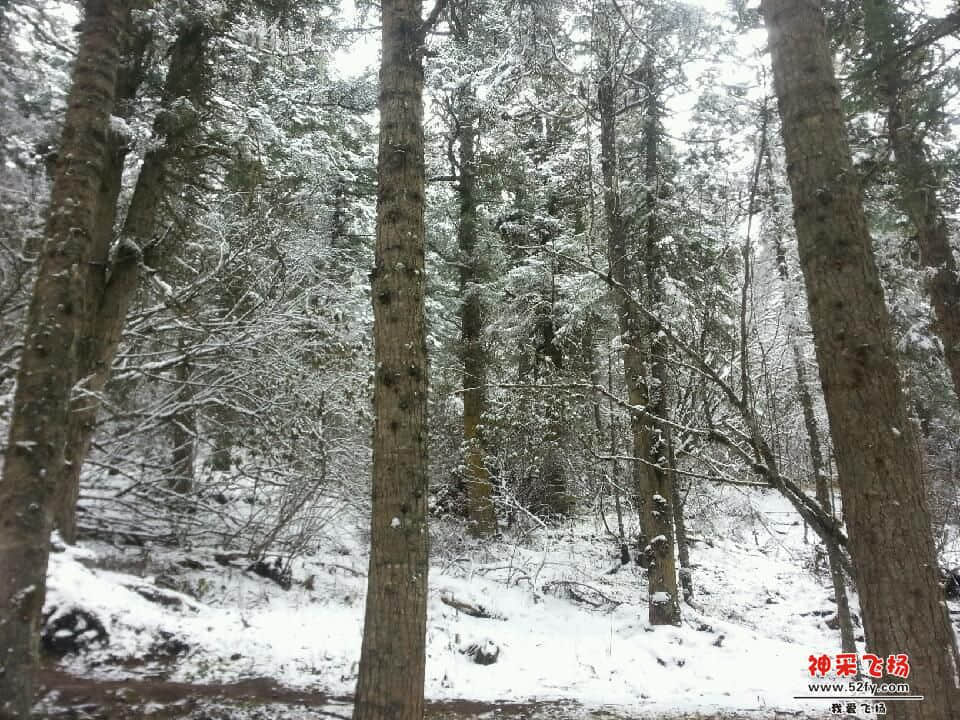 20121027_125808.jpg