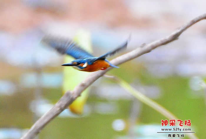照片 076.jpg