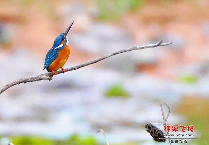 照片 012.jpg