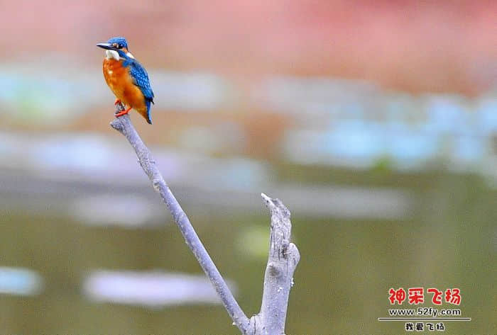 照片 246.jpg