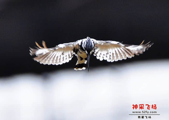 照片 164.jpg