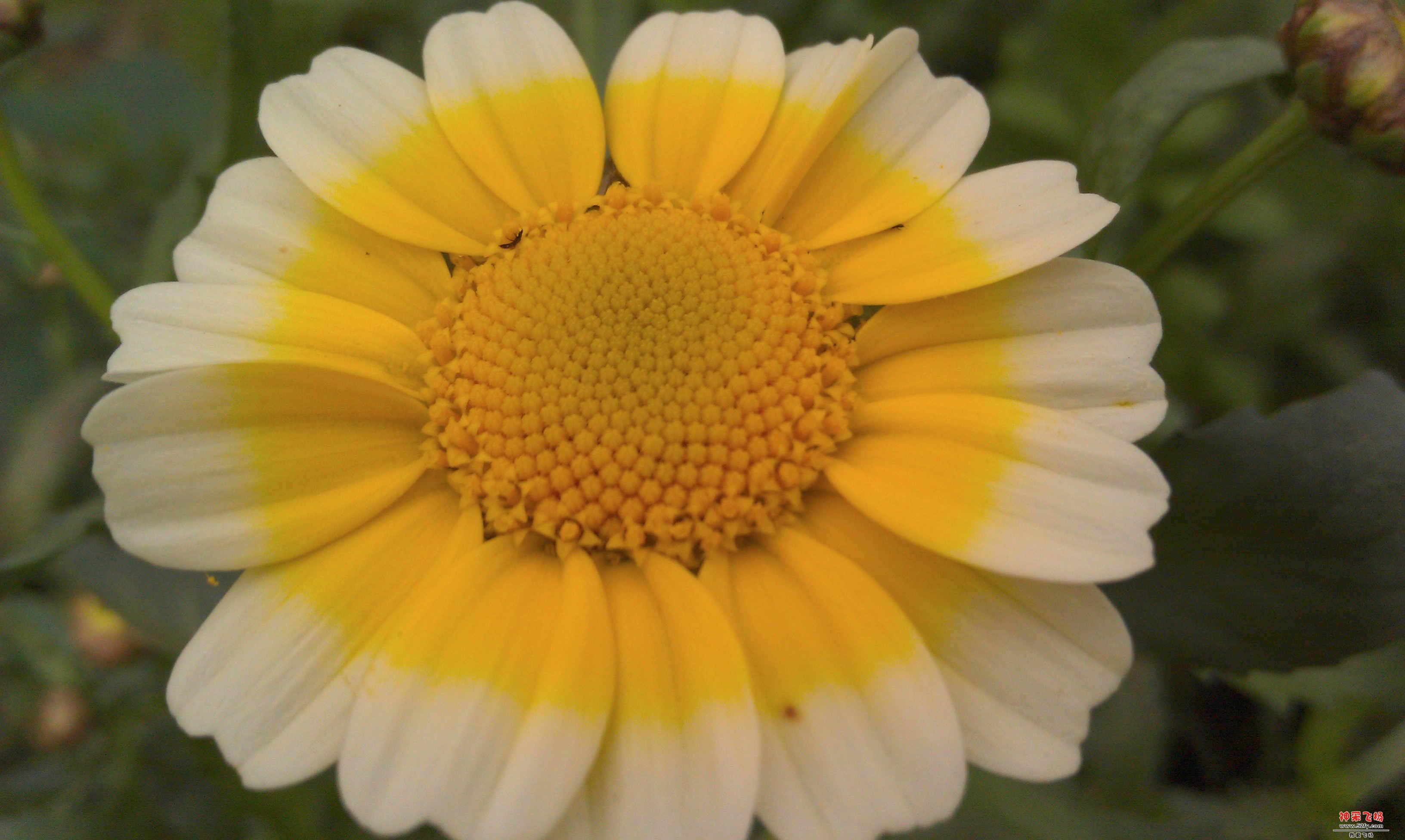 IMAG0278.jpg