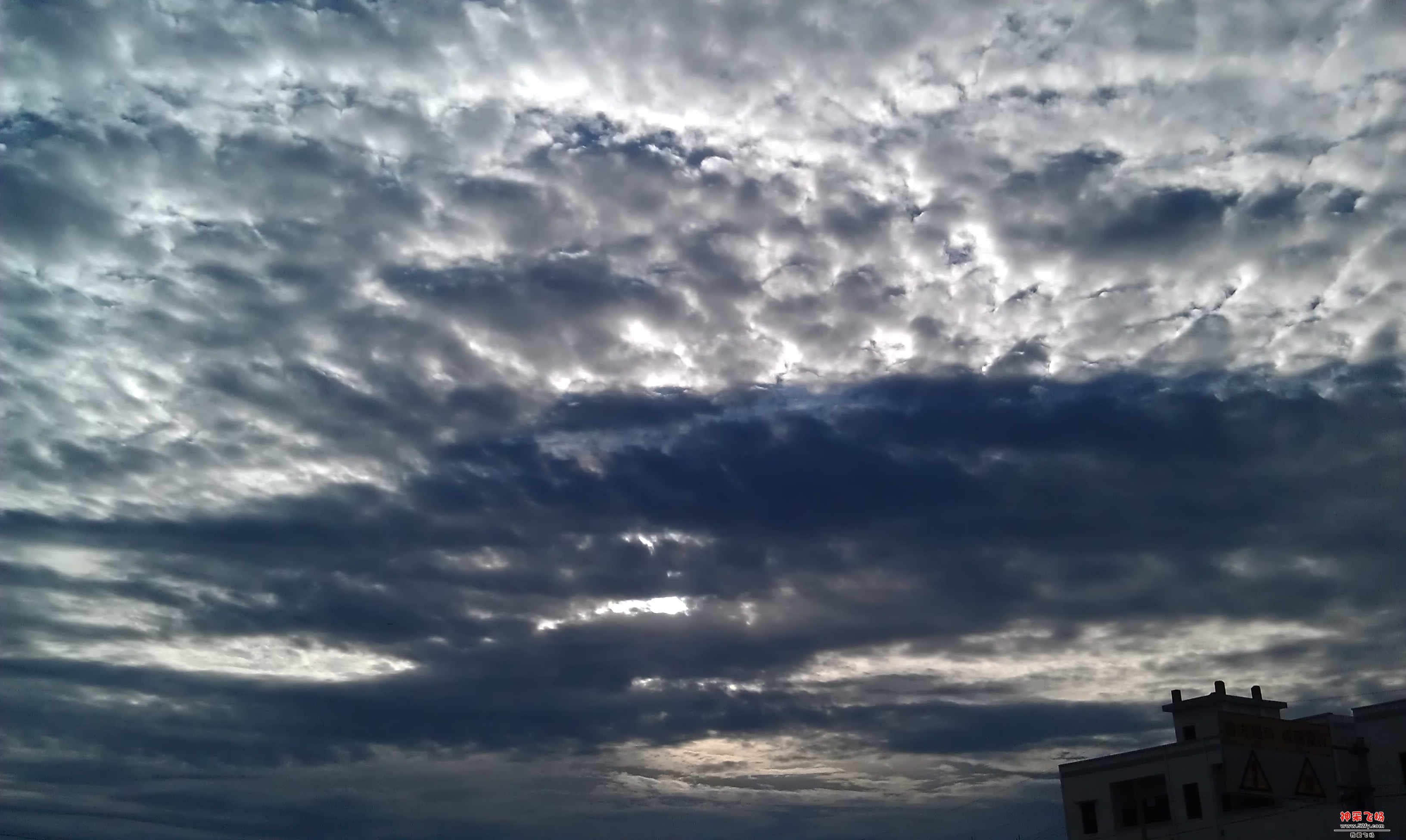 IMAG0333.jpg