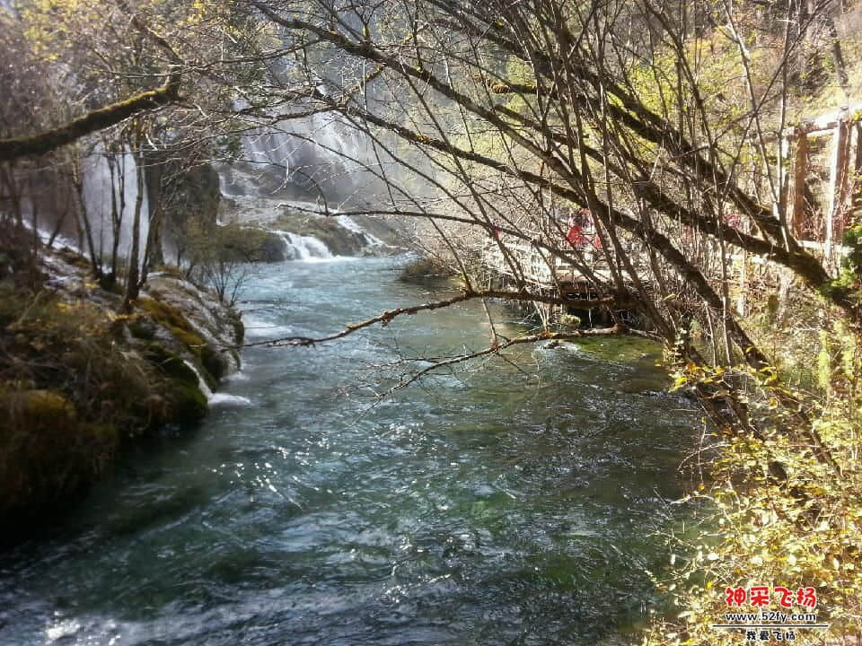 20121028_152258.jpg