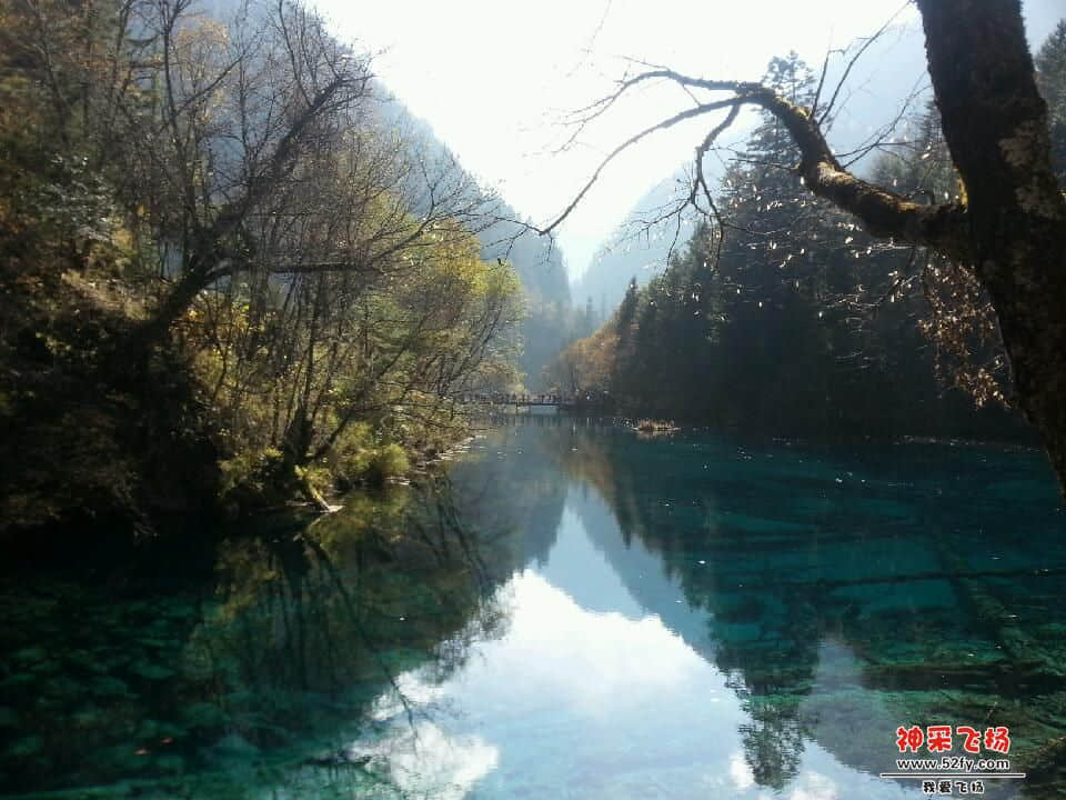 20121028_144518.jpg
