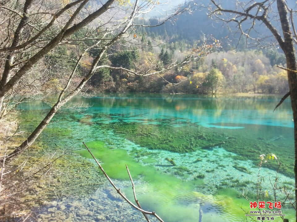 20121028_143822.jpg
