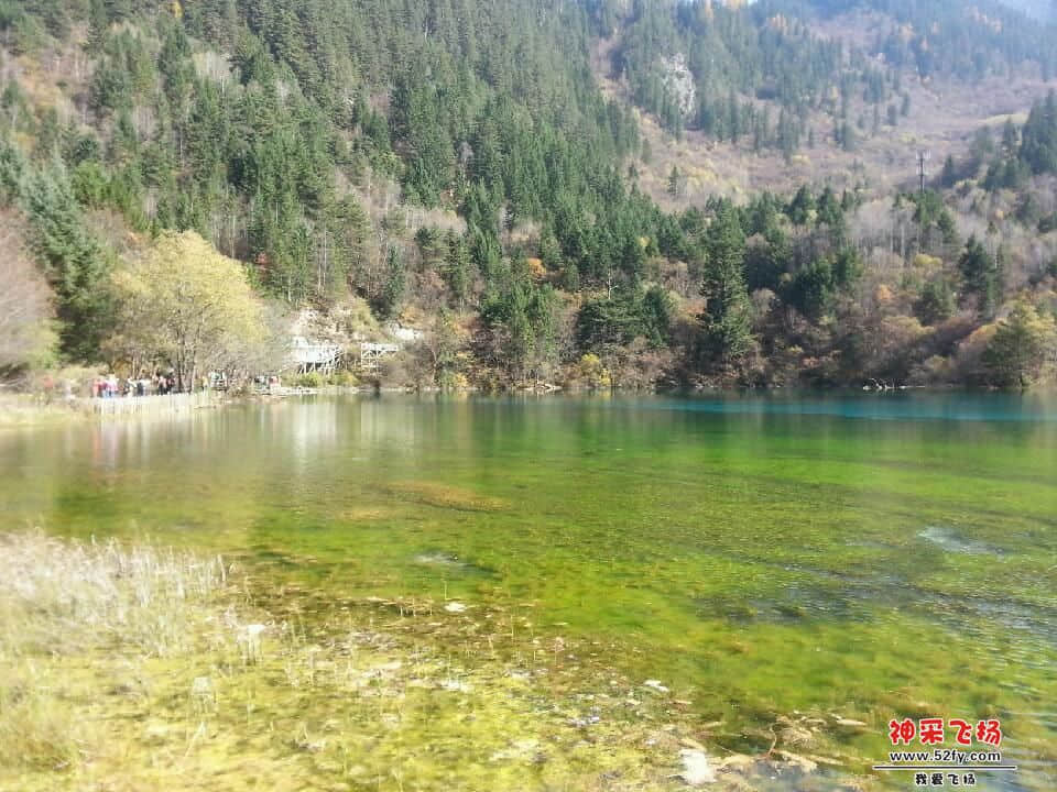 20121028_143525.jpg
