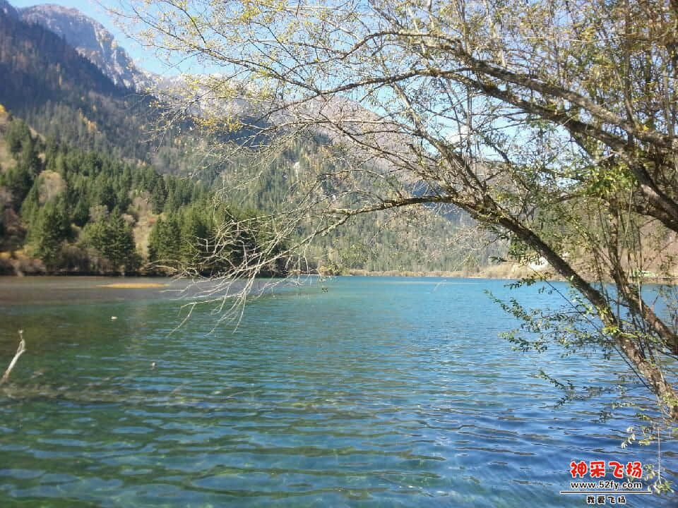 20121028_133653.jpg