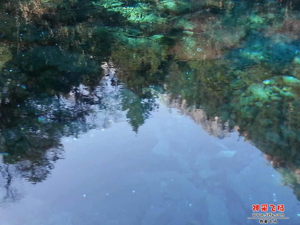 20121028_114914.jpg