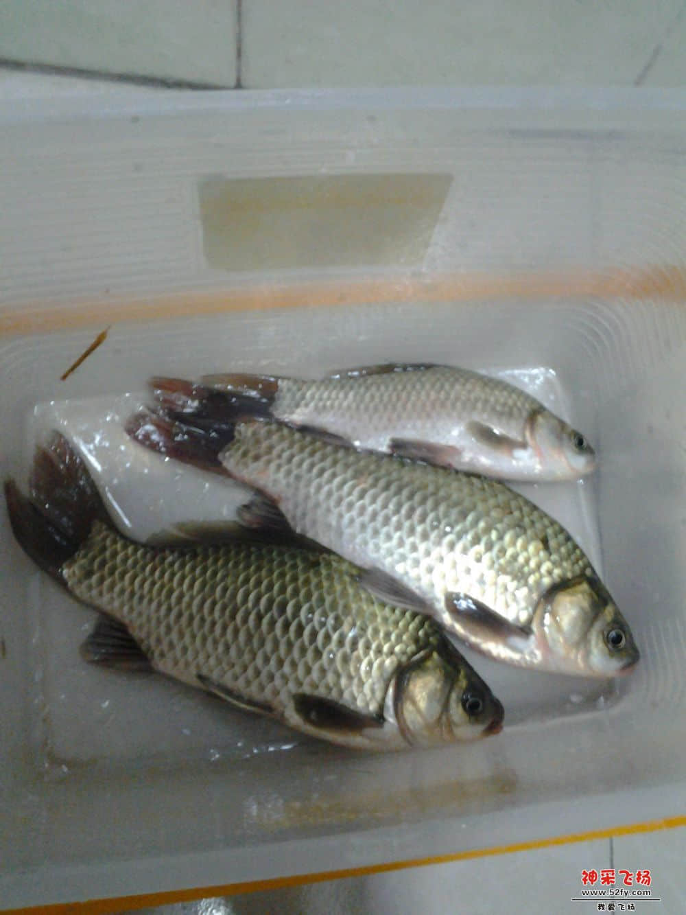 2012-11-04 17.421111.jpg