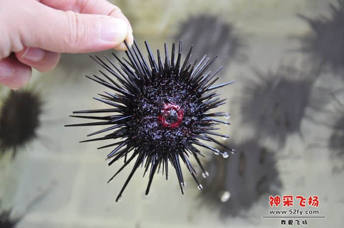 照片 101.jpg