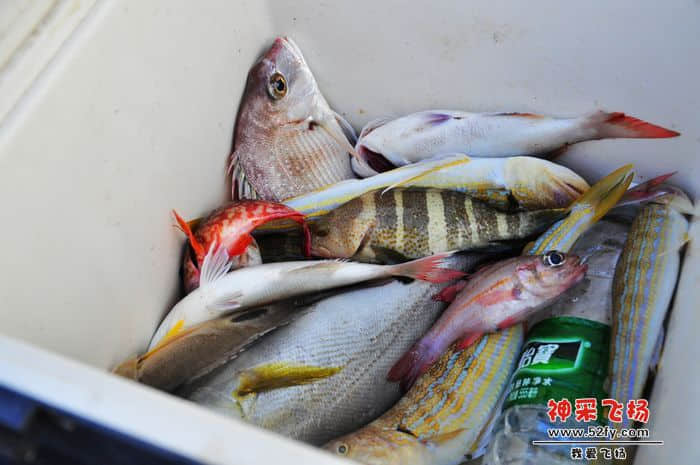 照片 303.jpg