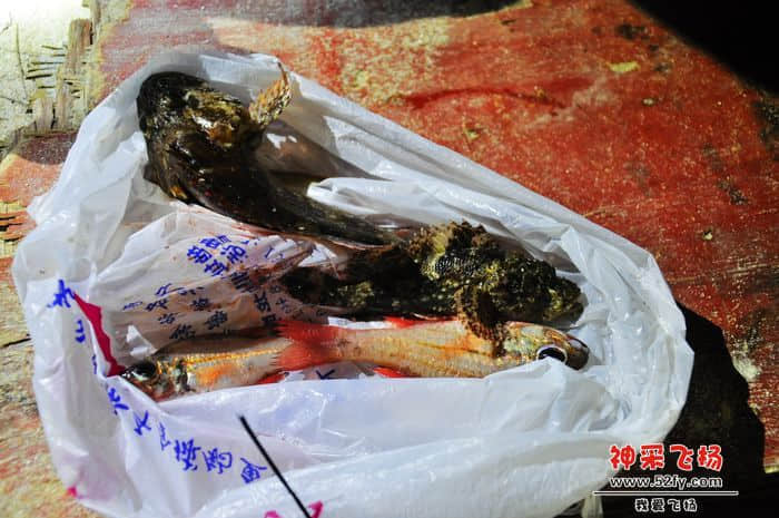 照片 463.jpg