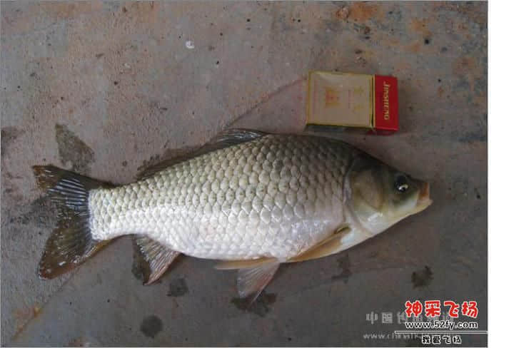 未命名1.JPG