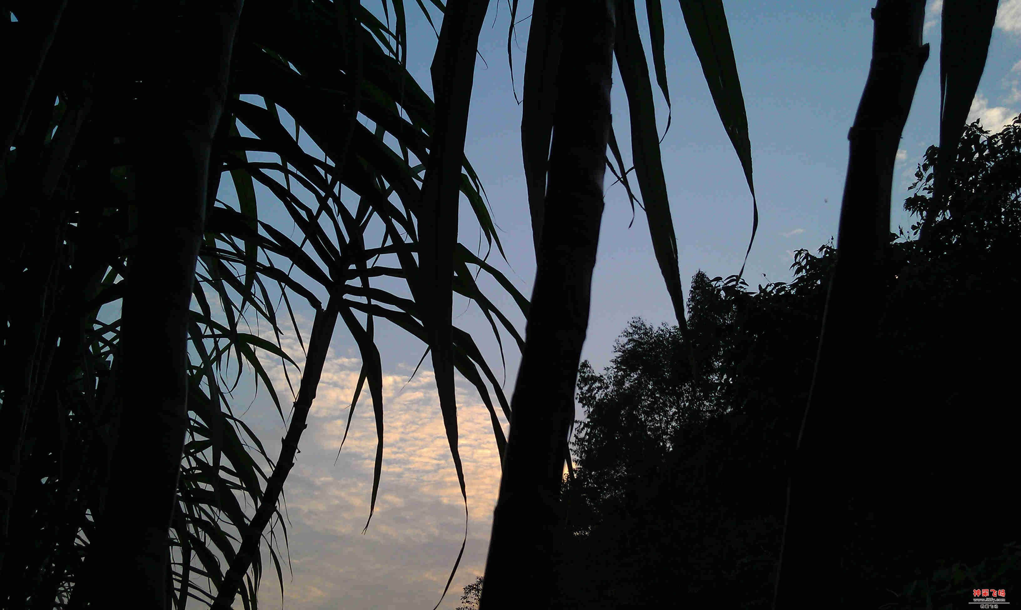 IMAG0155.jpg