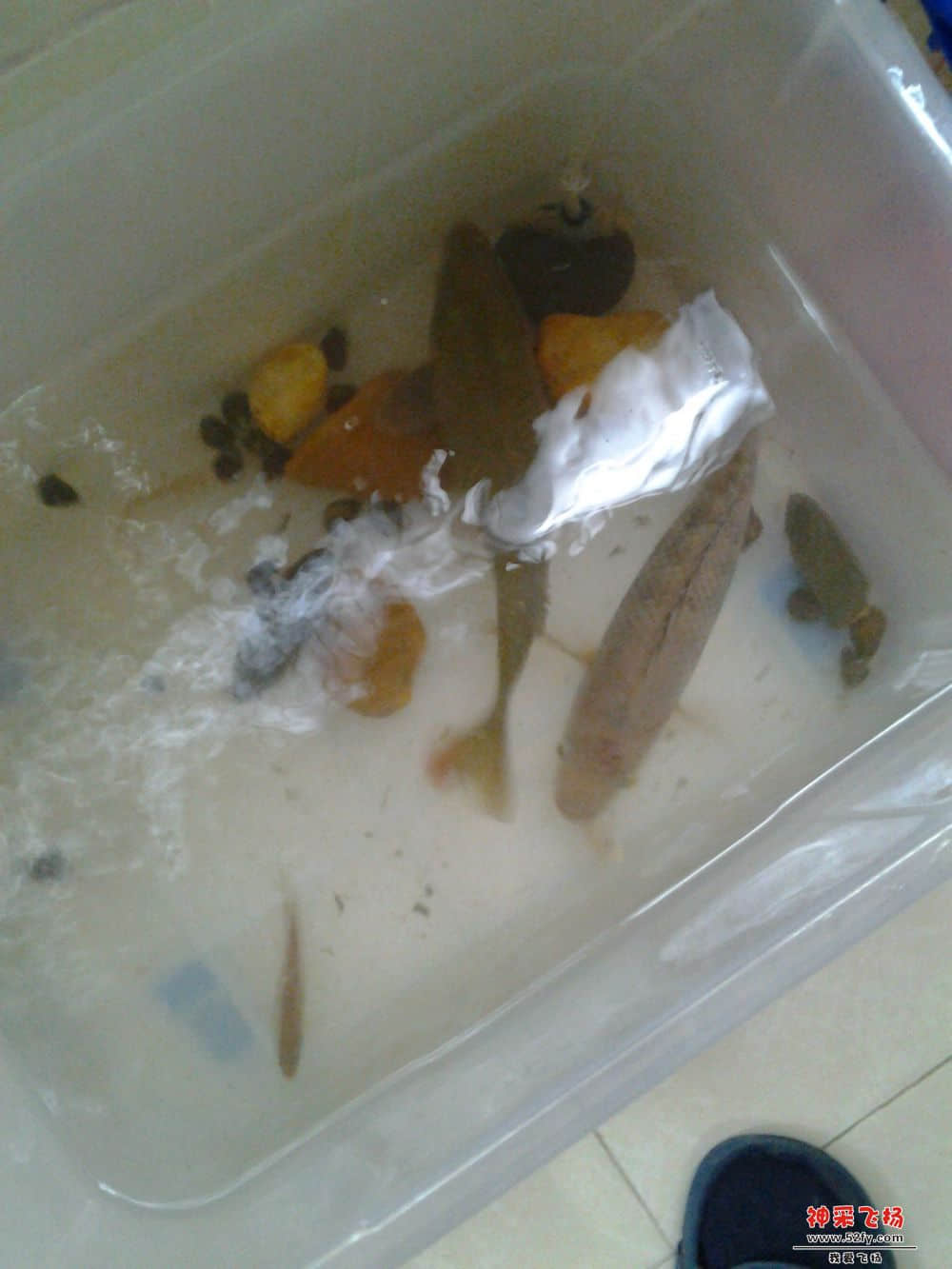 2012-11-07 07.3344444.jpg