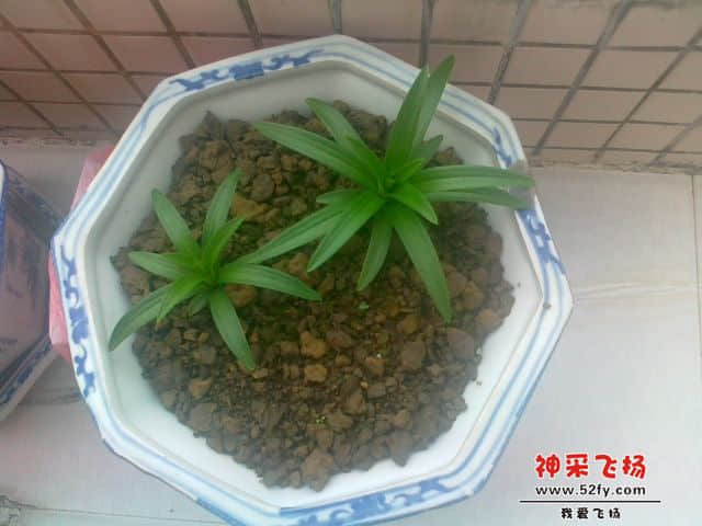 20121111722.jpg