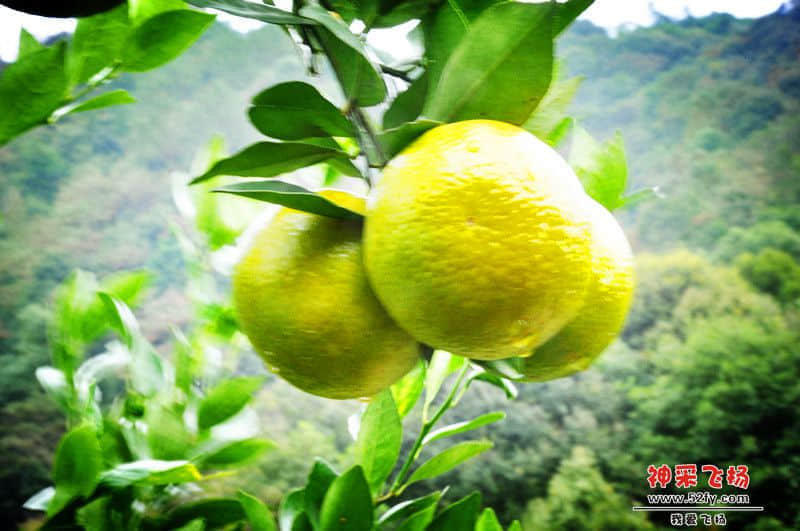 照片 005_副本.jpg