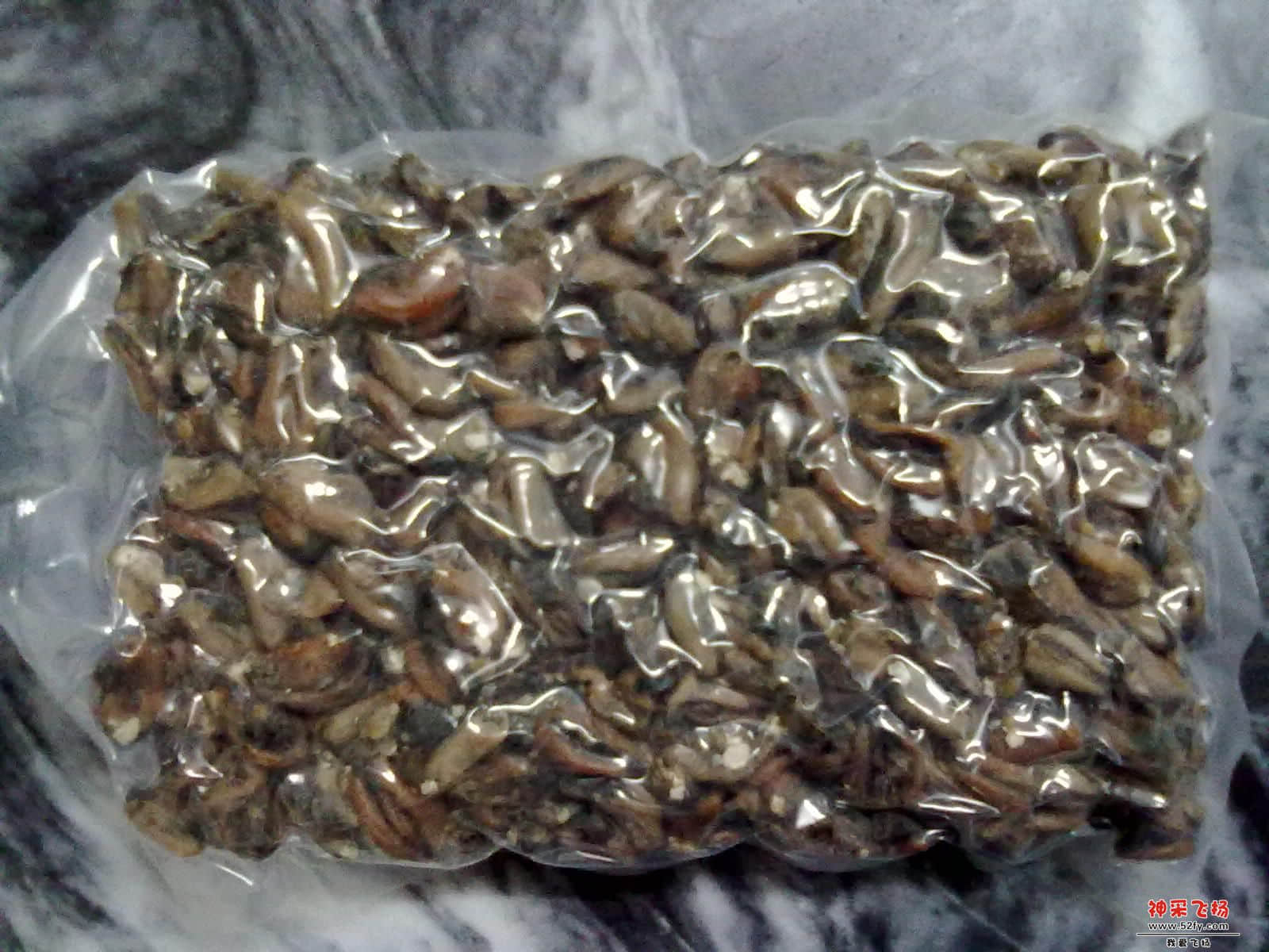 20121107510.jpg