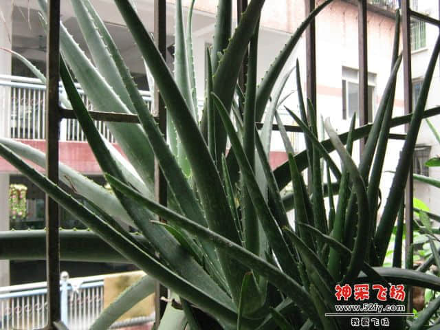 照片 2722.jpg