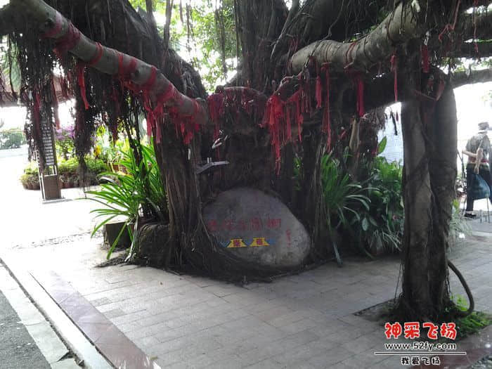 nEO_IMG_nEO_IMG_20121111_093758.jpg