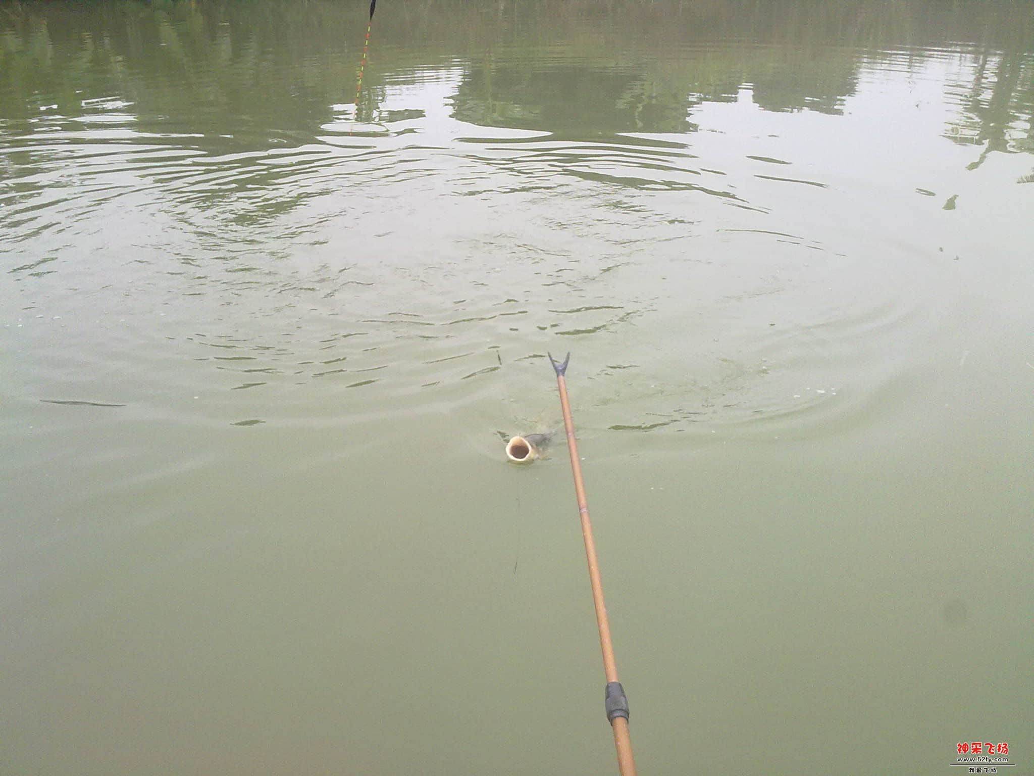 20121120335.jpg
