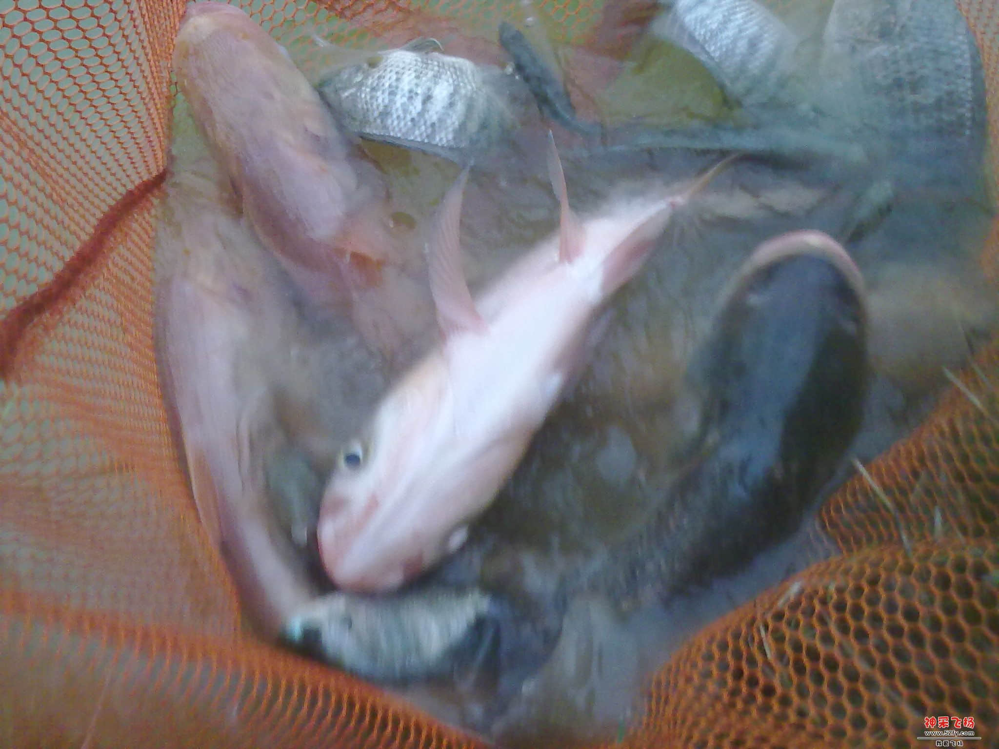 20121120343.jpg