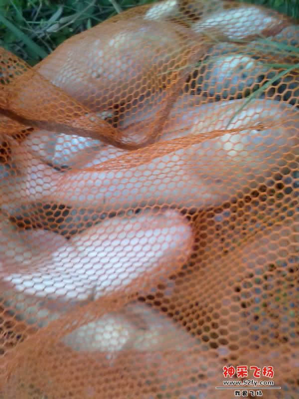 20121120347-001.jpg