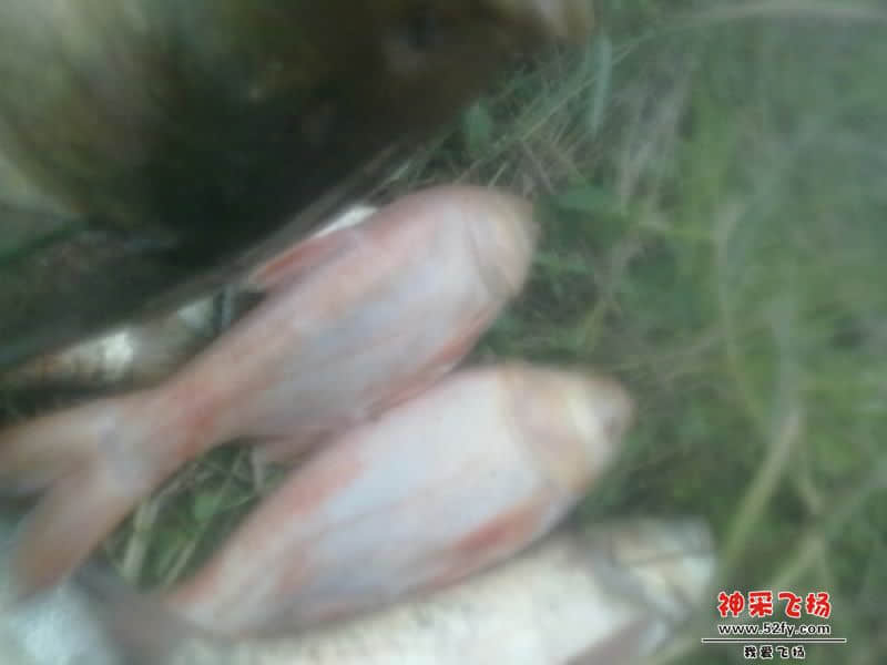20121120349-001.jpg
