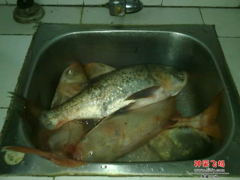 20121120350-001.jpg
