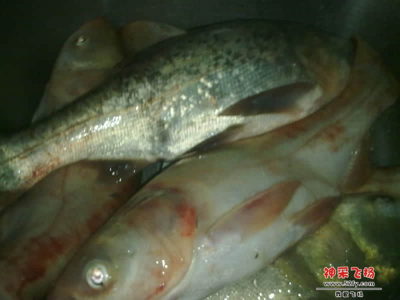 20121120351-001.jpg