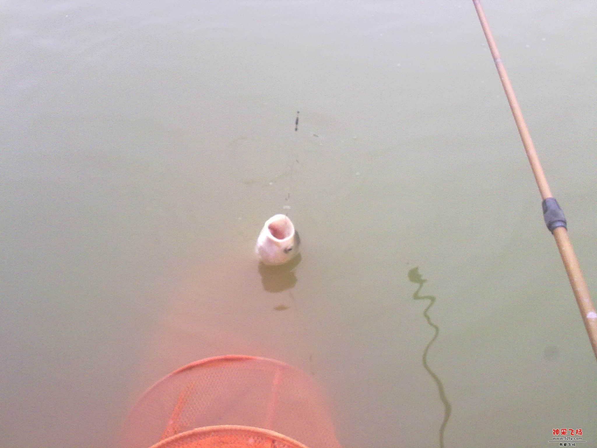 20121120336.jpg