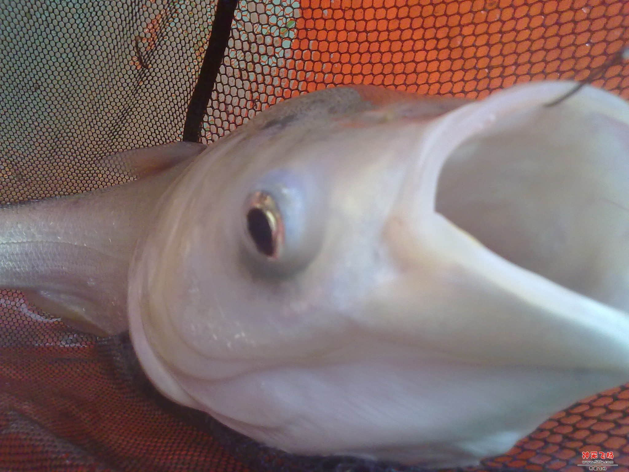 20121120341.jpg