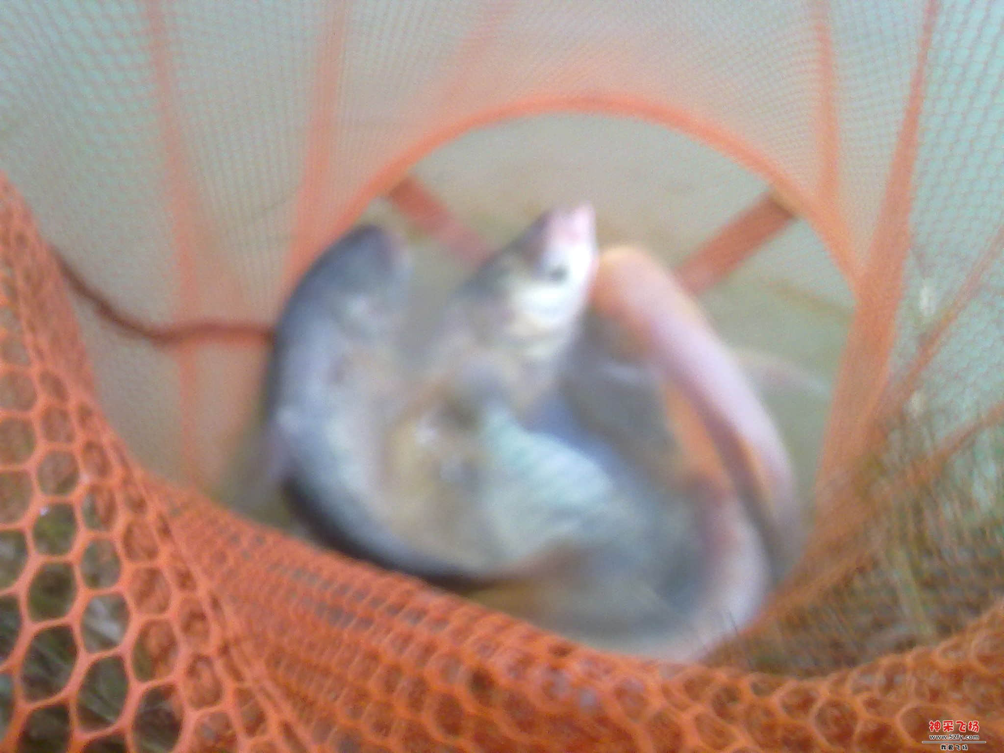 20121120342.jpg
