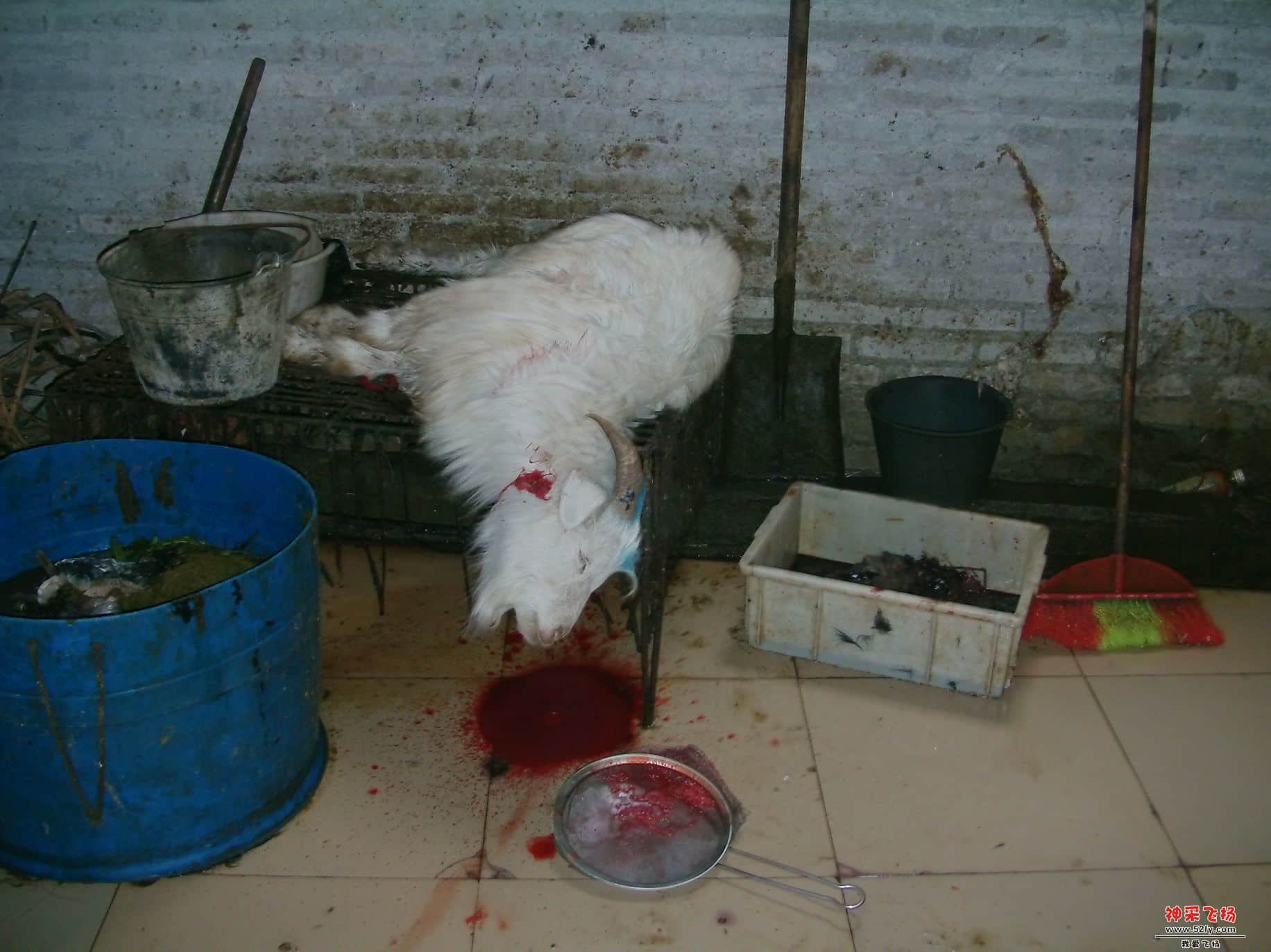 FILE0012.JPG