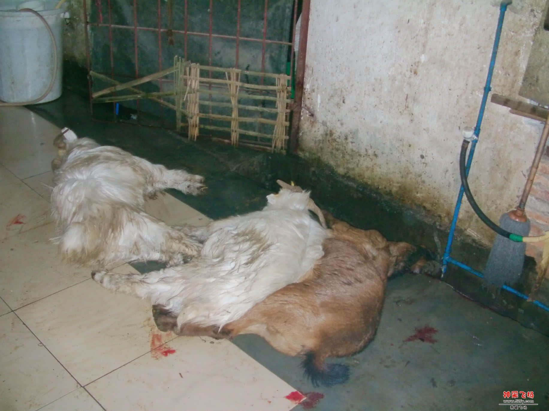 FILE0040.JPG