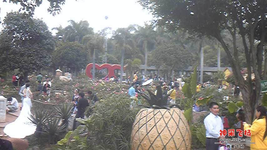 Image385.jpg