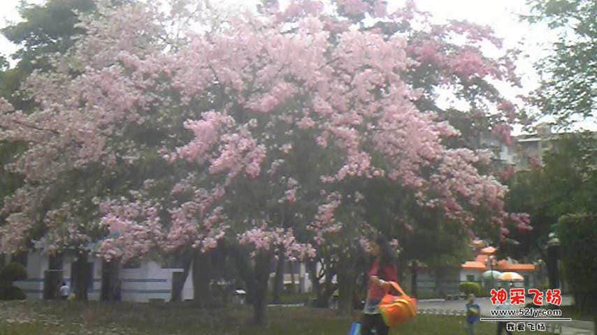 Image407.jpg