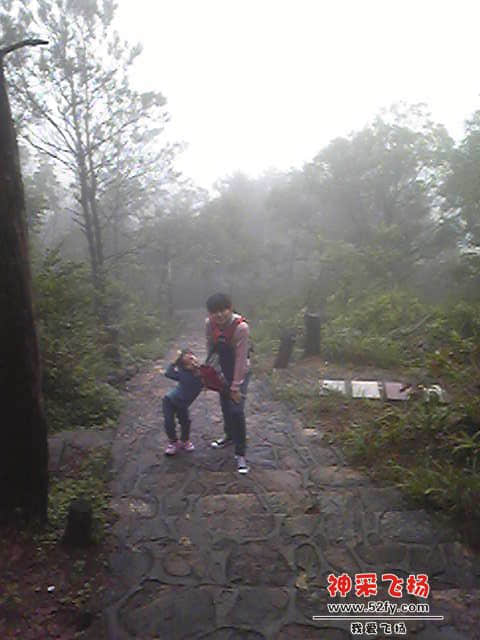 Image441.jpg