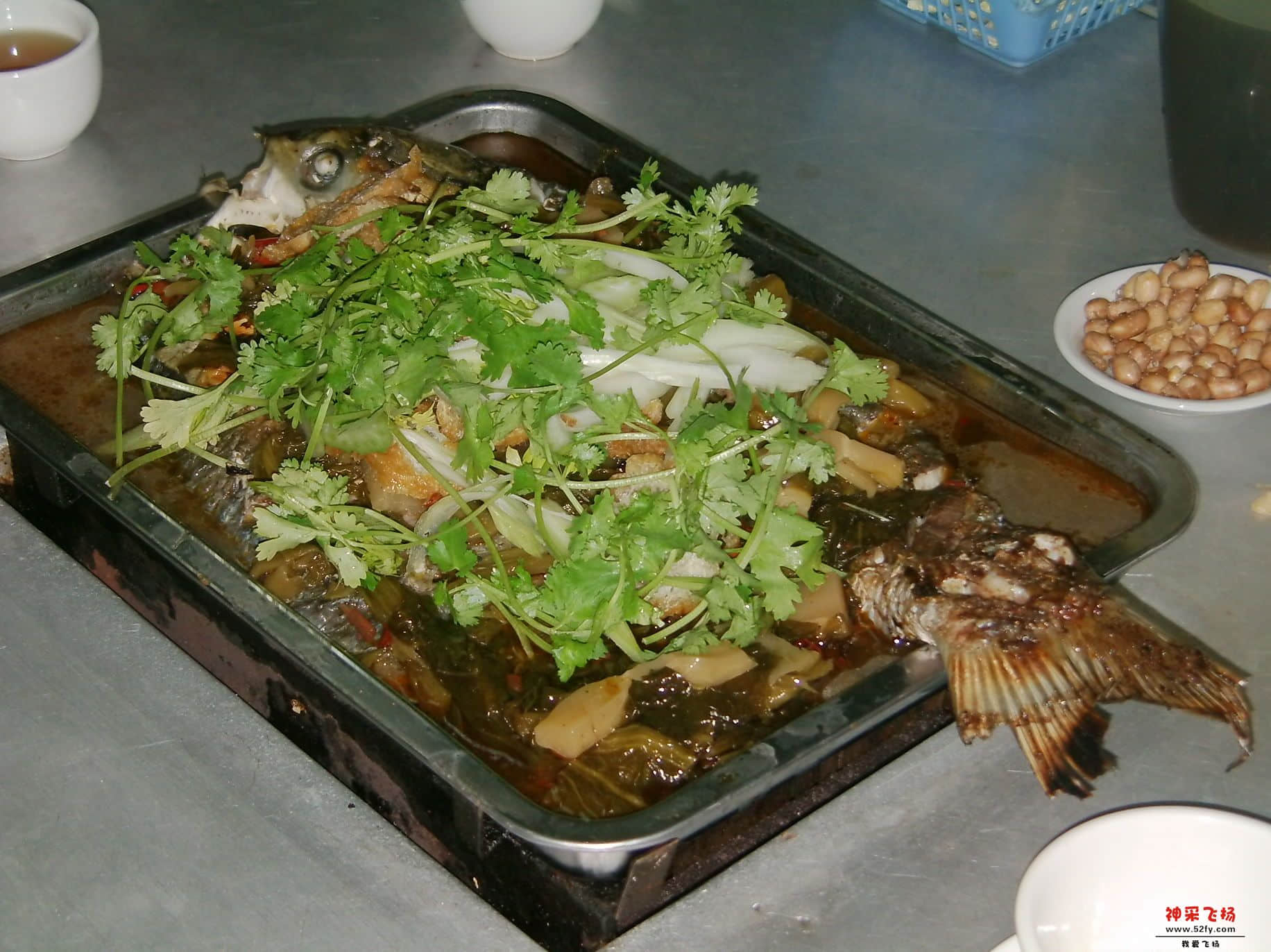 FILE0161.JPG
