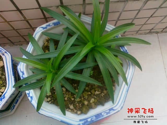 20121208734.jpg