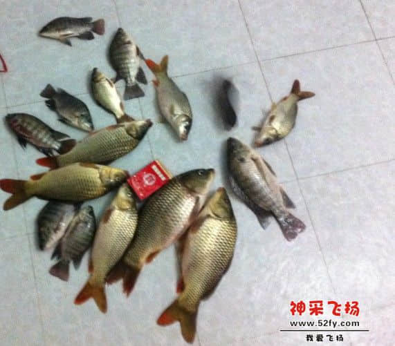 三将军1.jpg